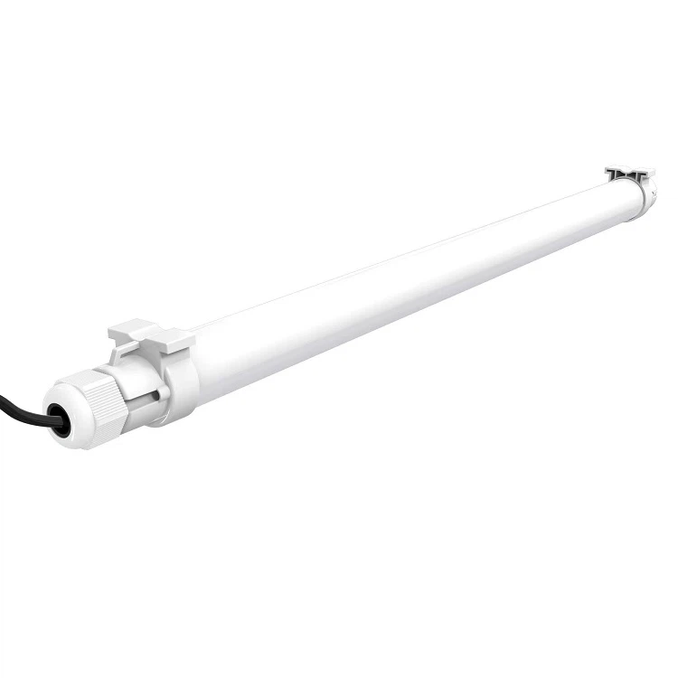 lights for chickens laying