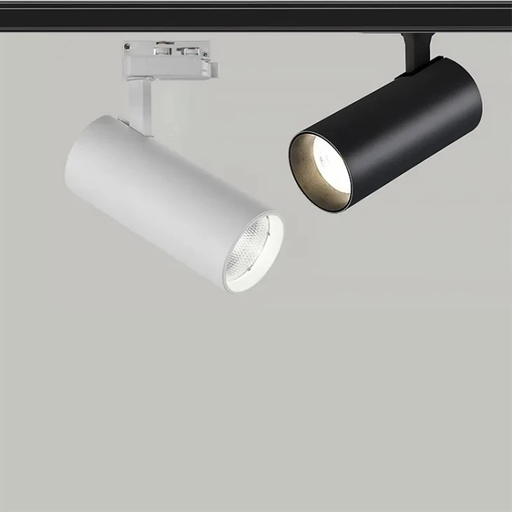 Black And Gold Track Lighting