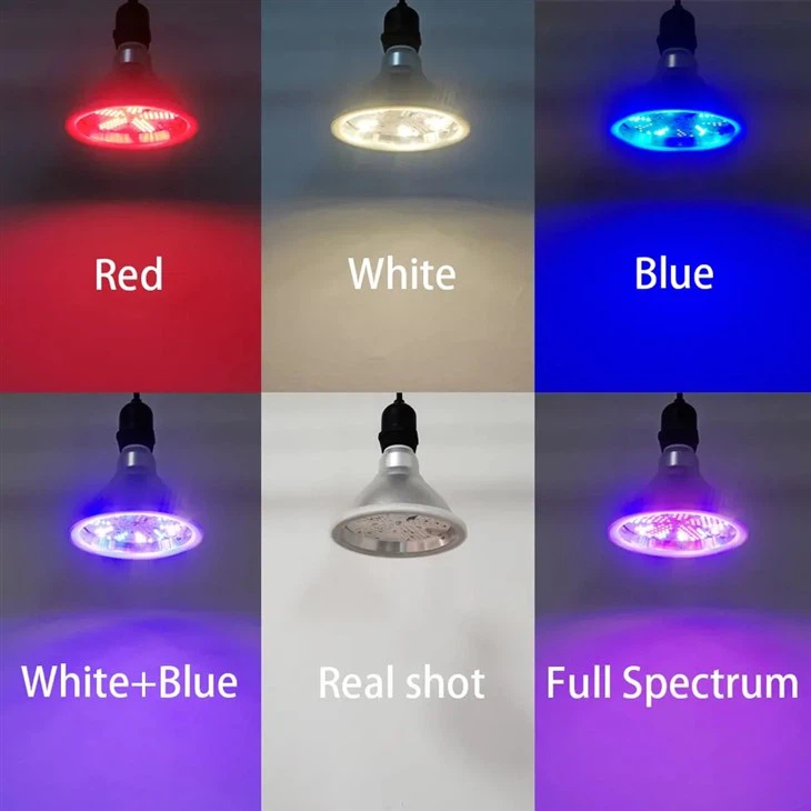 full spectrum lamp with remote control 3