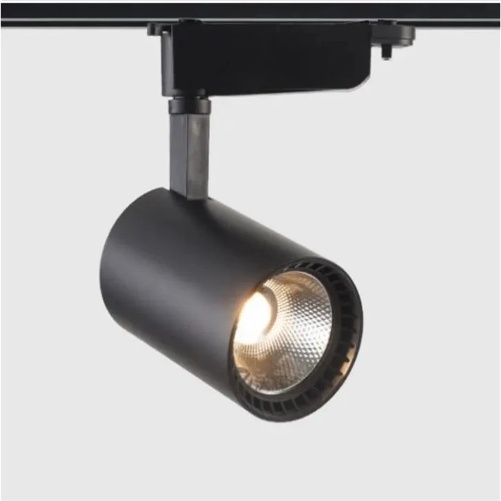 Round Track Lighting Fixture