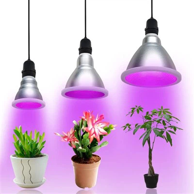 12W PAR38 LED svjetiljka za uzgoj