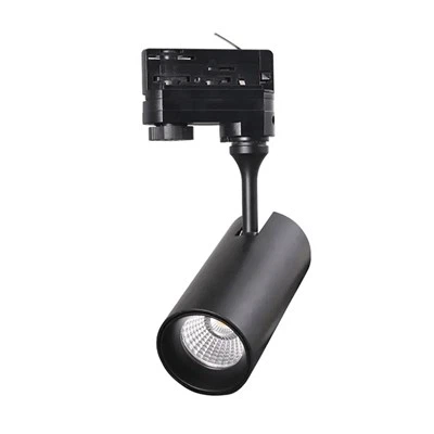 Dali Track Lighting