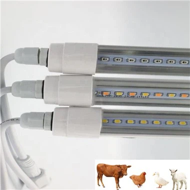 Infracrvena svjetla za piliće