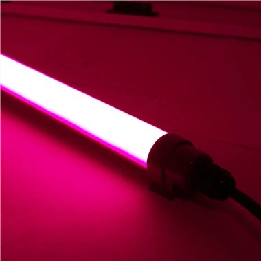 Crveno LED svjetlo za perad