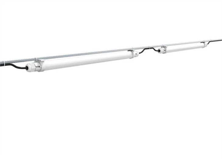 best light for chicken coop -