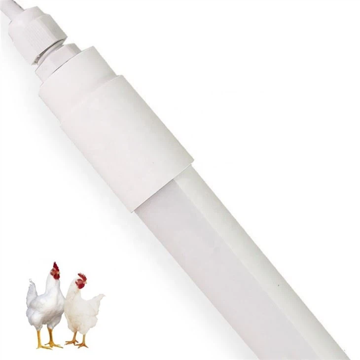 1200mm T8 Tube For Chicken Farm