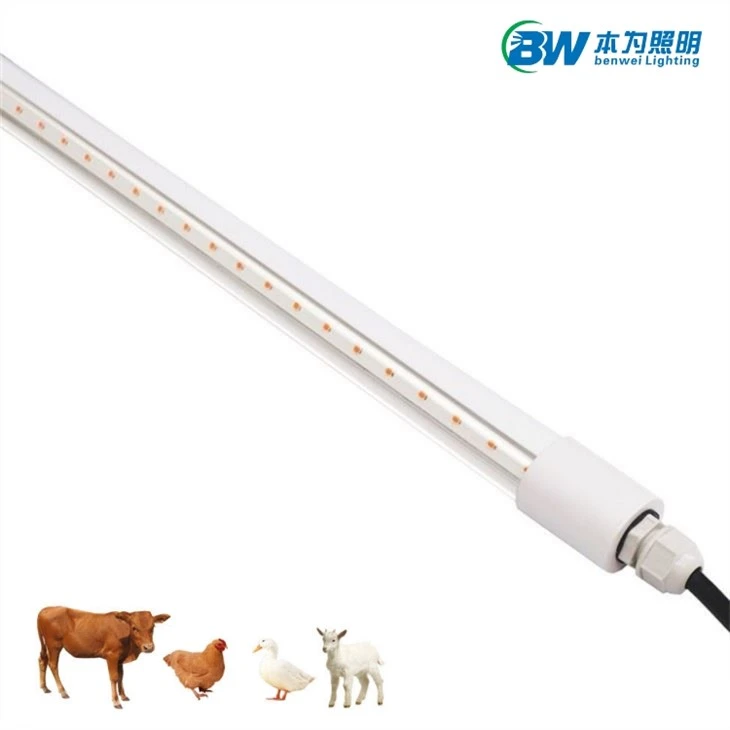 20w Chicken Coop Light 4000k