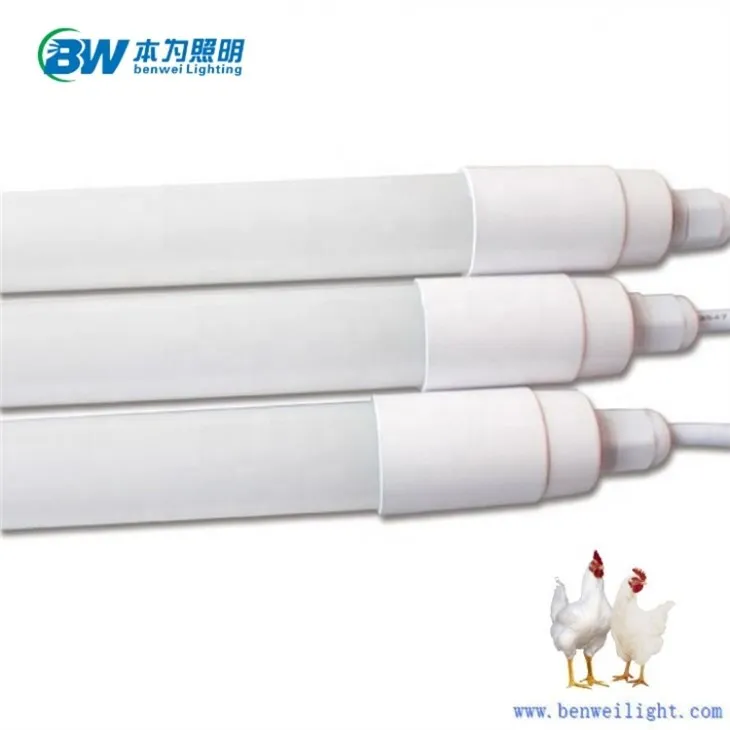 2ft Led Chicken Light