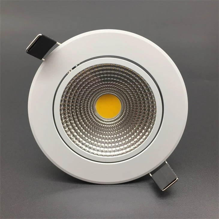 Adjustable Accent Light