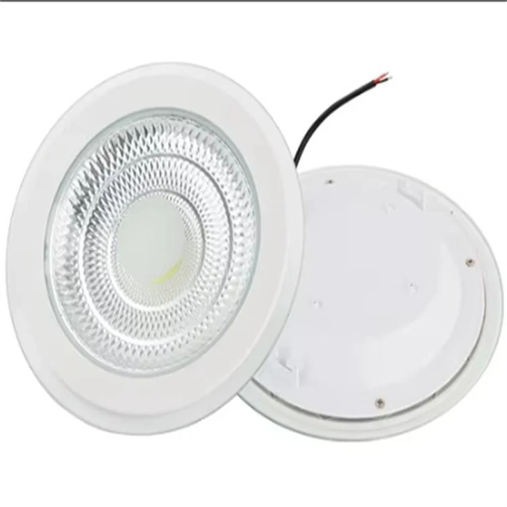white downlights
