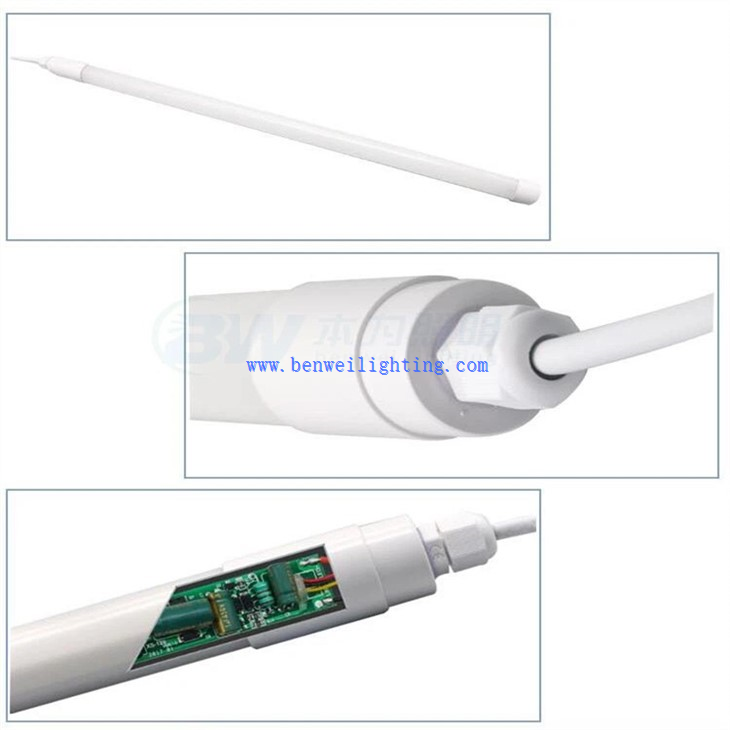 Egg Incubator Light (5)