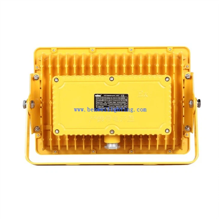 Gas-proof light  (4)