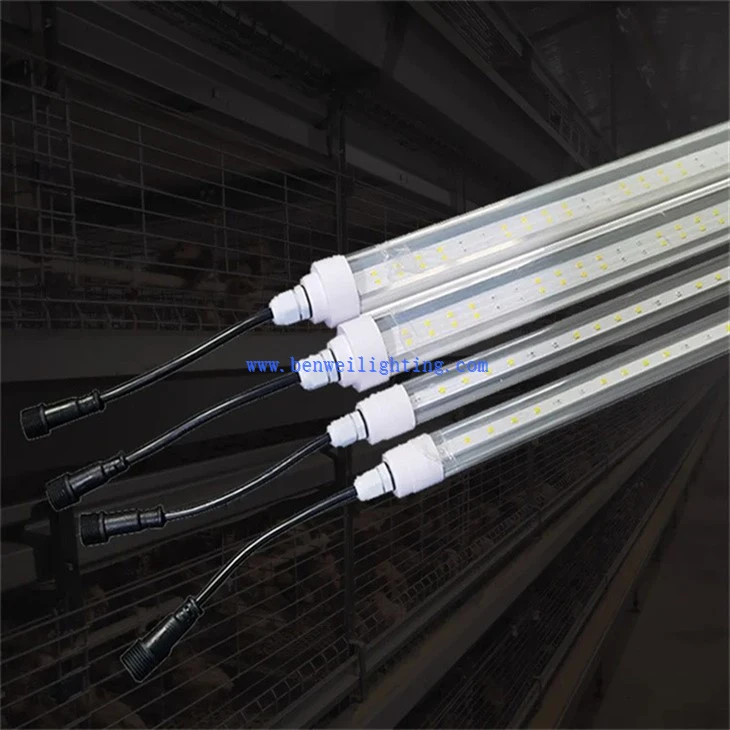 Hatchery Light (5)