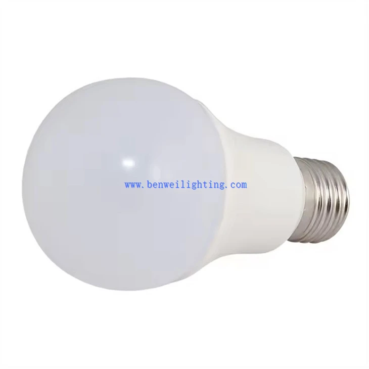 Household Light Bulb (1)