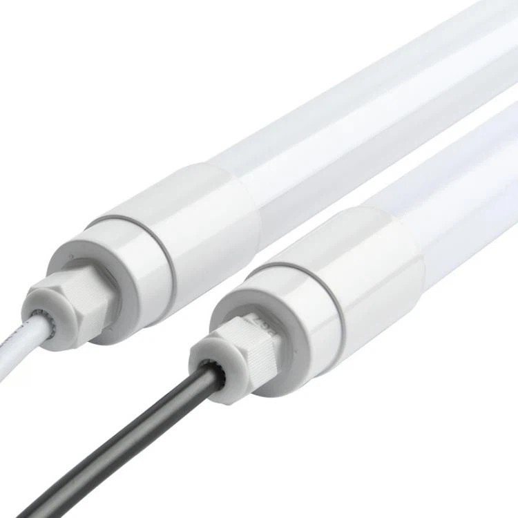 Lighting for poultry