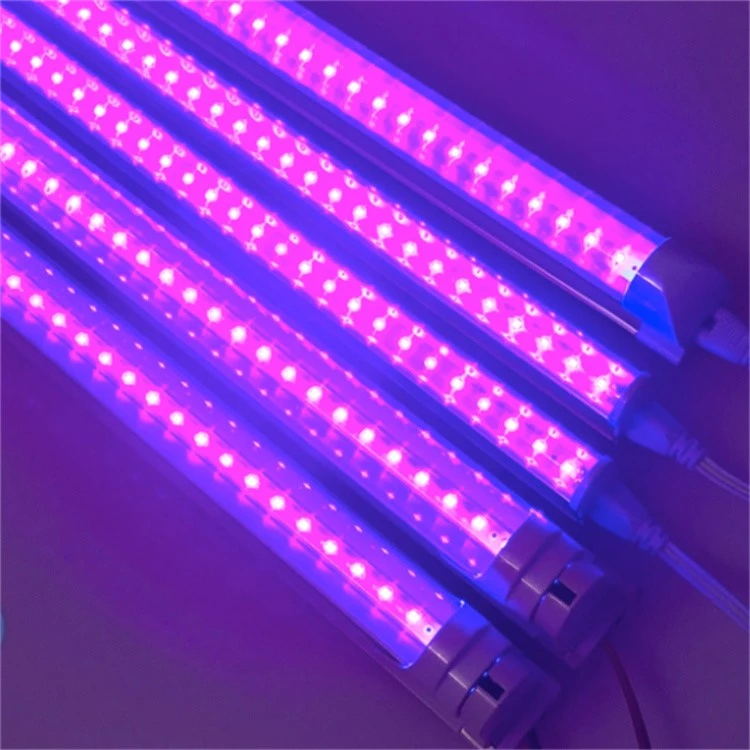 Two Sides UV Light 5 Two Sides UV Light 5
