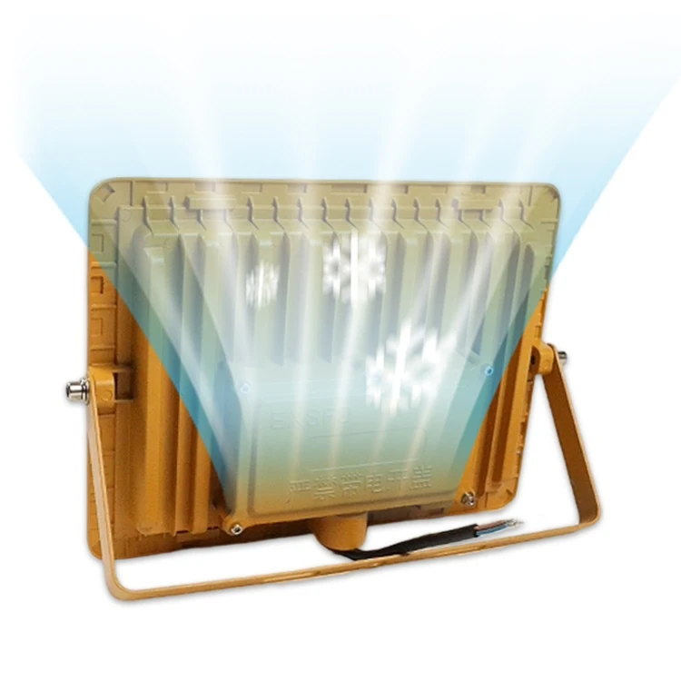 100w Led Explosion-proof Lighting